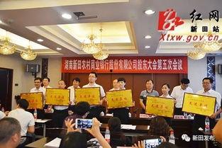 今日爆料湖南新田新闻,最新爆料揭示惊人真相 第2张 今日爆料湖南新田新闻,最新爆料揭示惊人真相 第2张